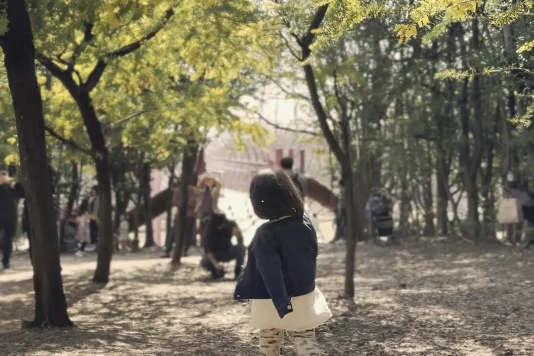 木漏れ日の公園を歩いていく子どもの後ろ姿